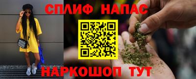 ешки Новозыбков