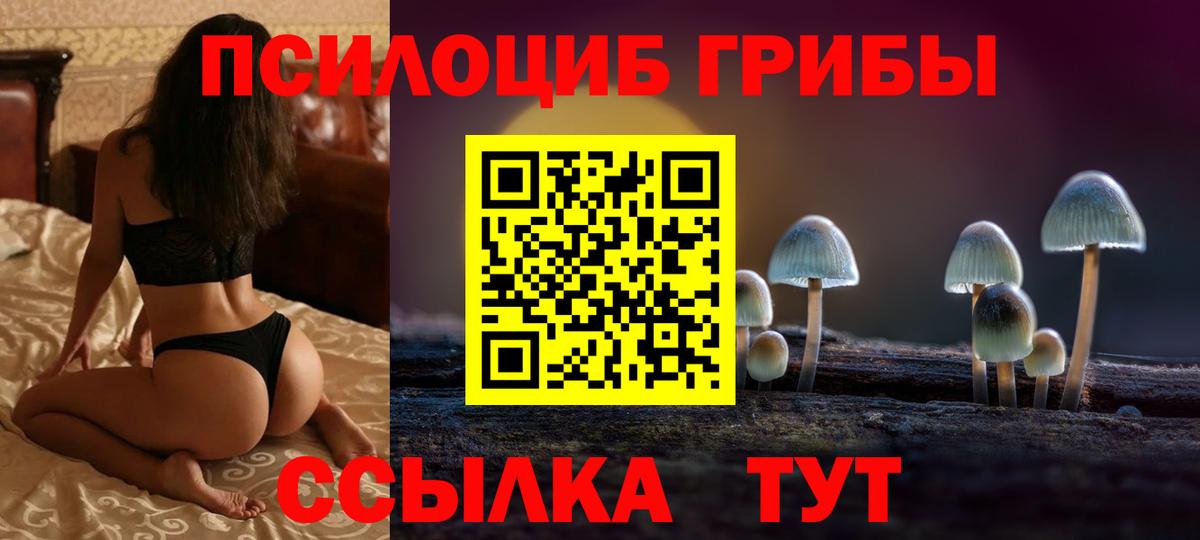 Галлюциногенные грибы MAGIC MUSHROOMS Соль-Илецк